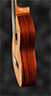 Brasilian Rosewood Back