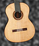 Brasilian Rosewood Front