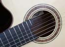 Cutaway guitar rosette closeup