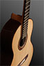 Indian-Raised-Fingerboard