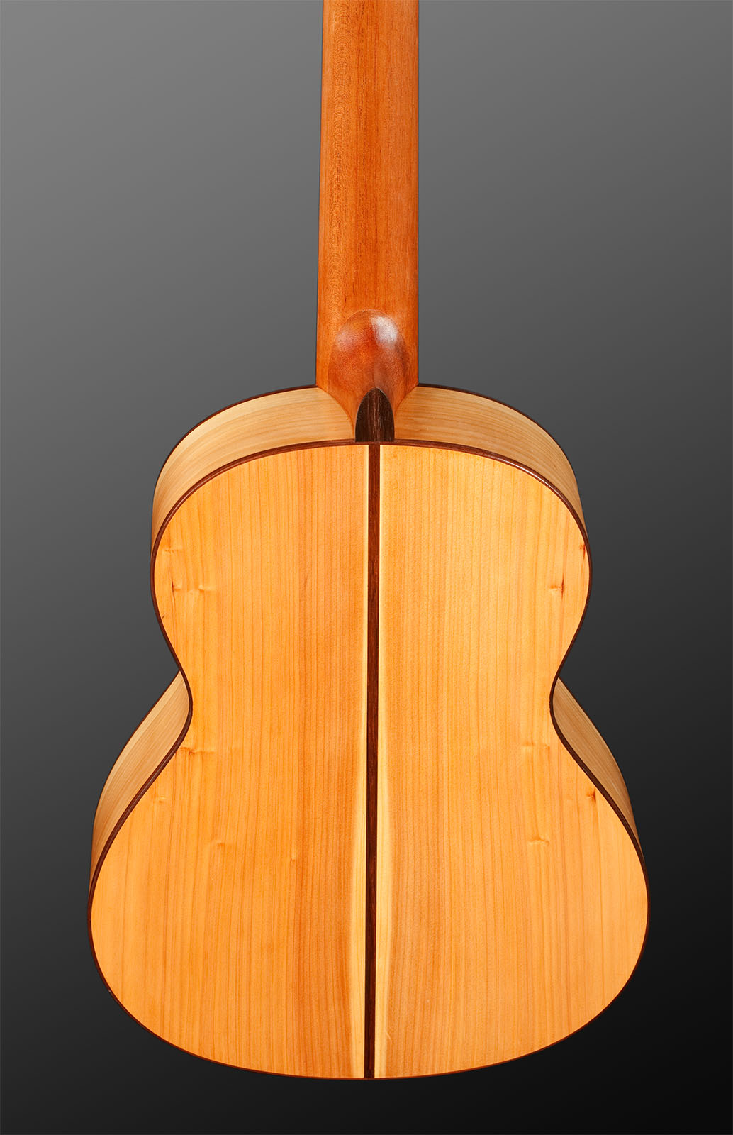 Requinto-Back
