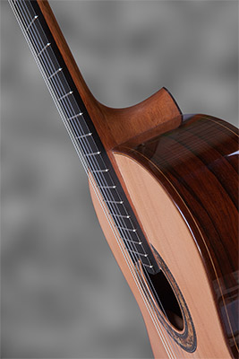 View of guitar with raised fingerboard